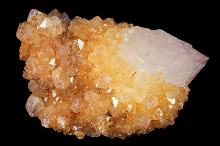 Sunshine Cactus Quartz Crystal - South Africa #122327